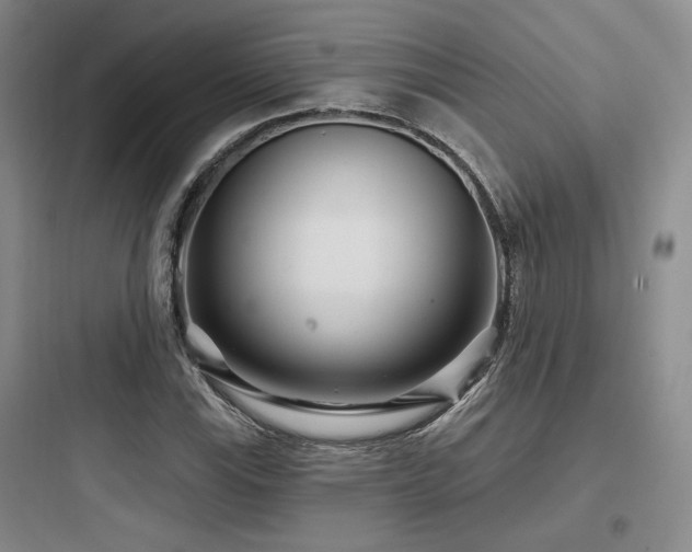 X0000097971115200803241228