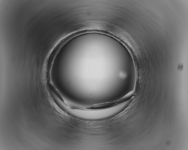 X0000097971116200803241228