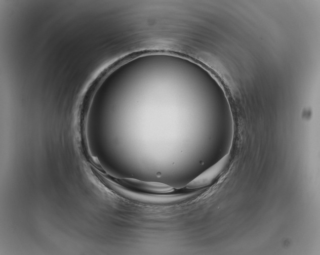 X0000097971120200803241228