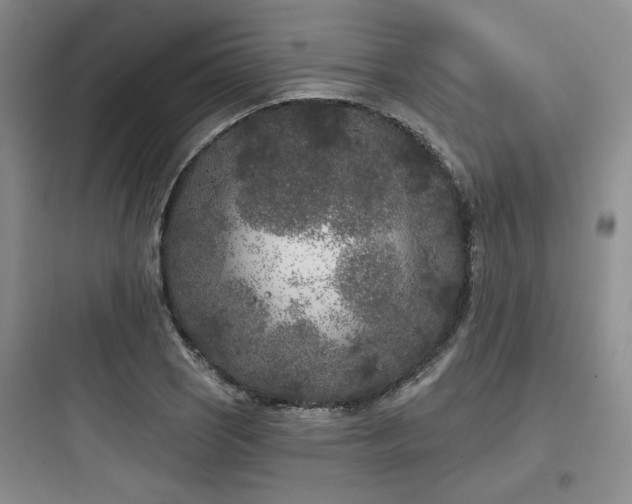 X0000097971121200803241228