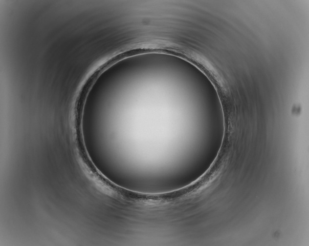 X0000097971122200803241228