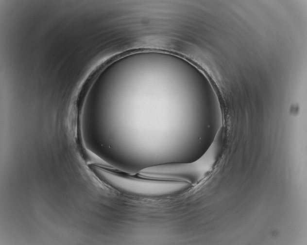 X0000097971123200803241228