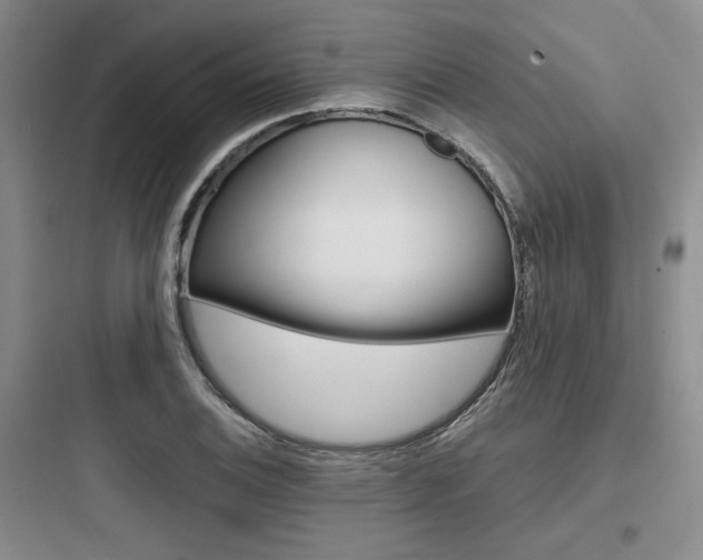X0000097971124200803241228