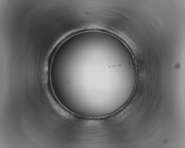 X0000097971126200803241228
