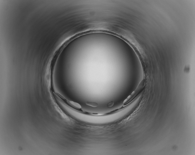 X0000097971127200803241228