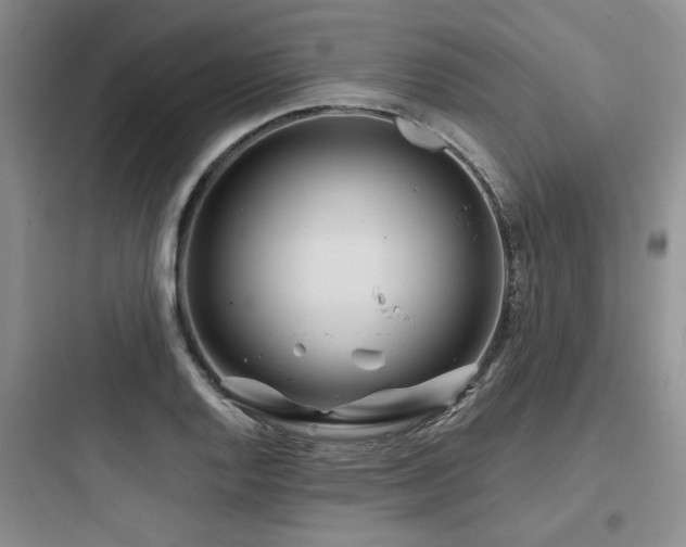 X0000097971128200803241228