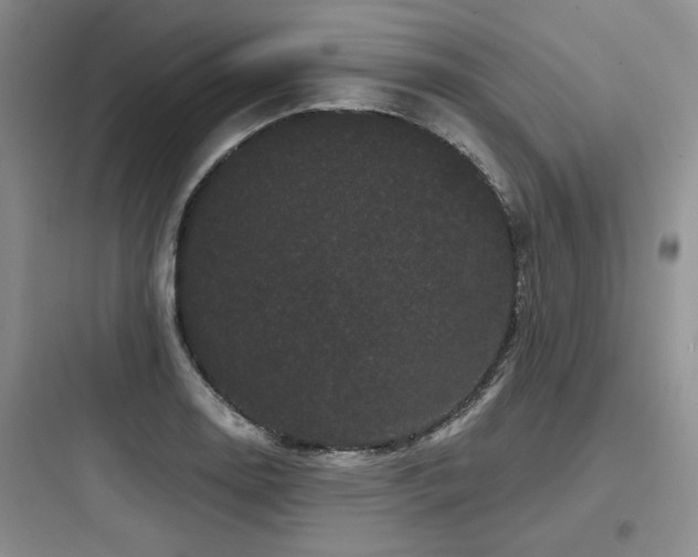X0000097971130200803241228