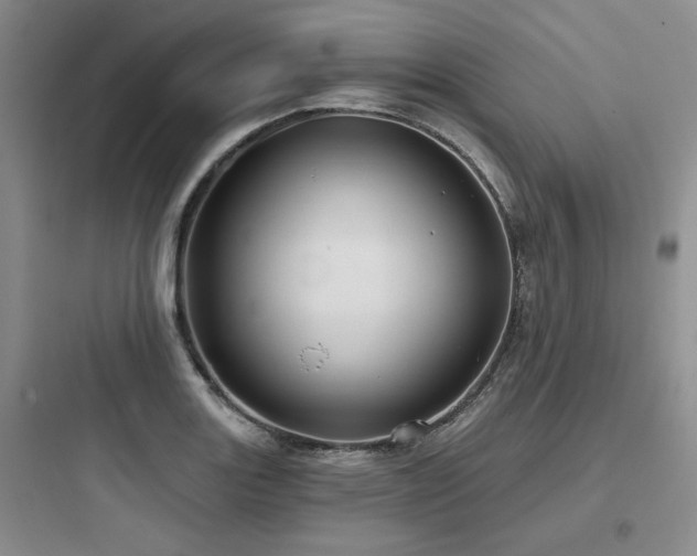 X0000097971131200803241228
