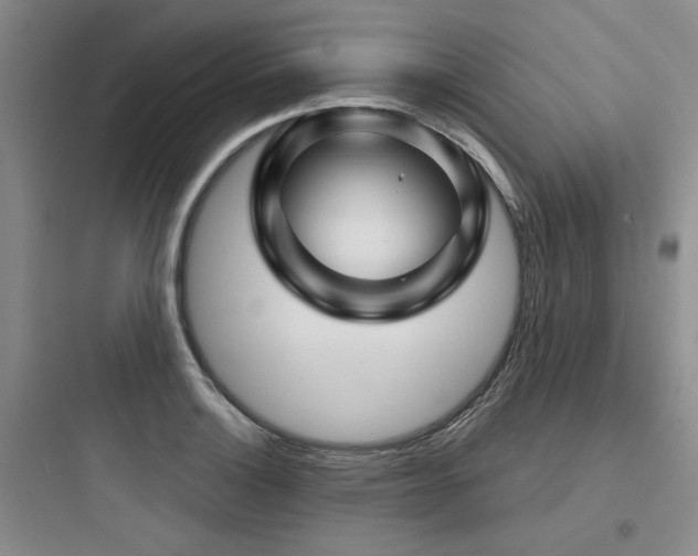 X0000097971132200803241228