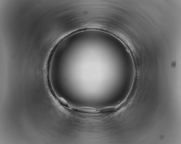 X0000097971133200803241228