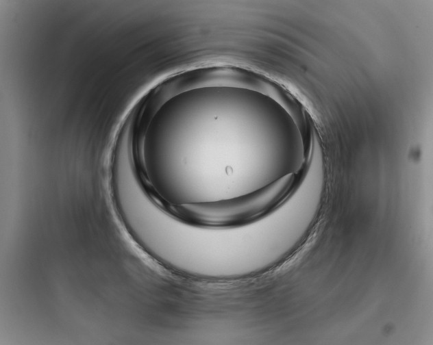 X0000097971134200803241228