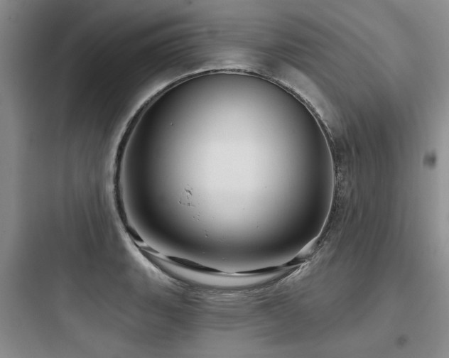 X0000097971135200803241228