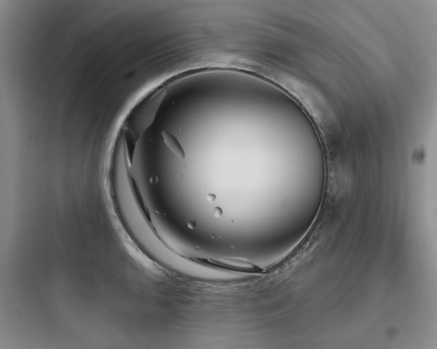 X0000097971136200803241228
