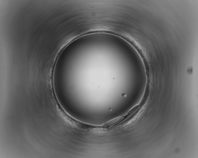 X0000097971137200803241228