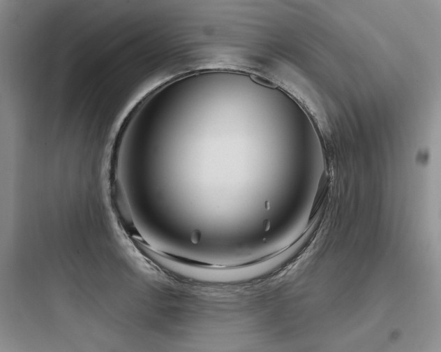 X0000097971138200803241229