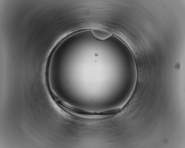 X0000097971139200803241229