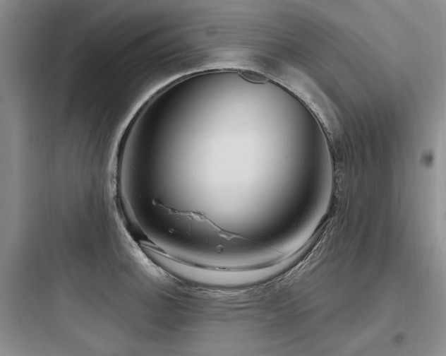 X0000097971140200803241229