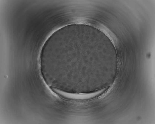 X0000097971141200803241229