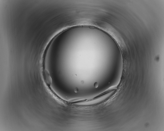 X0000097971142200803241229