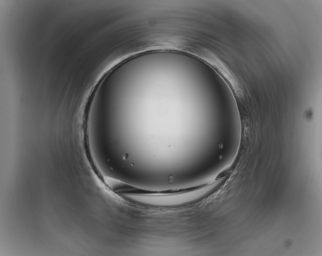 X0000097971143200803241229