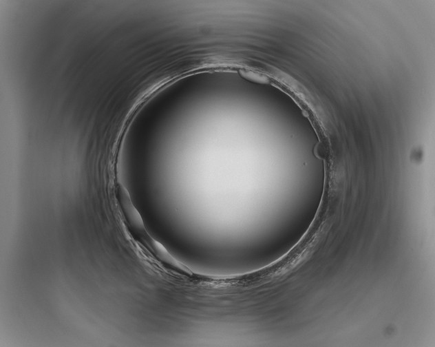 X0000097971145200803241229