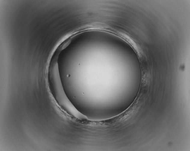 X0000097971146200803241229