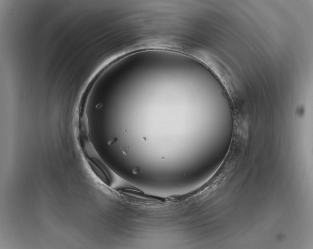 X0000097971147200803241229