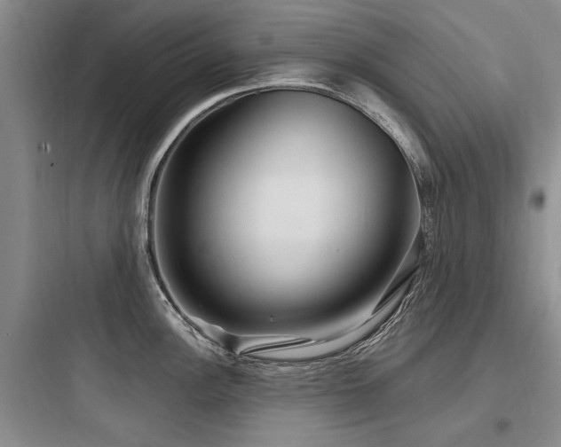 X0000097971148200803241229