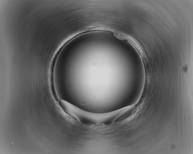 X0000097971149200803241229