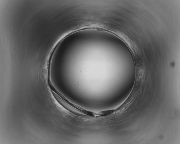 X0000097971151200803241229