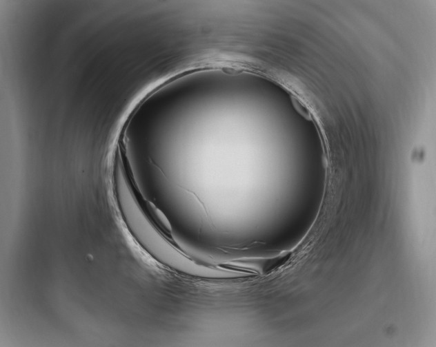 X0000097971152200803241229
