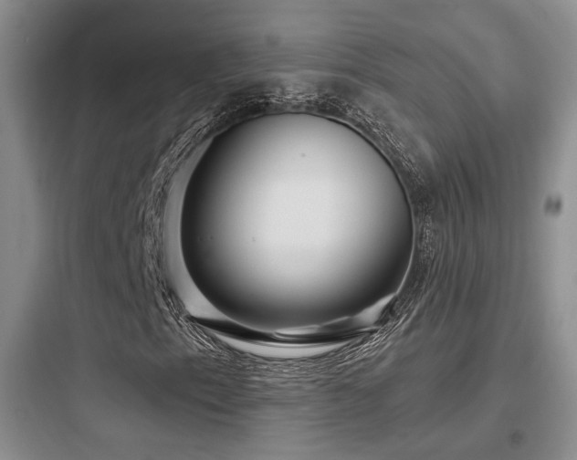 X0000097971153200803241228