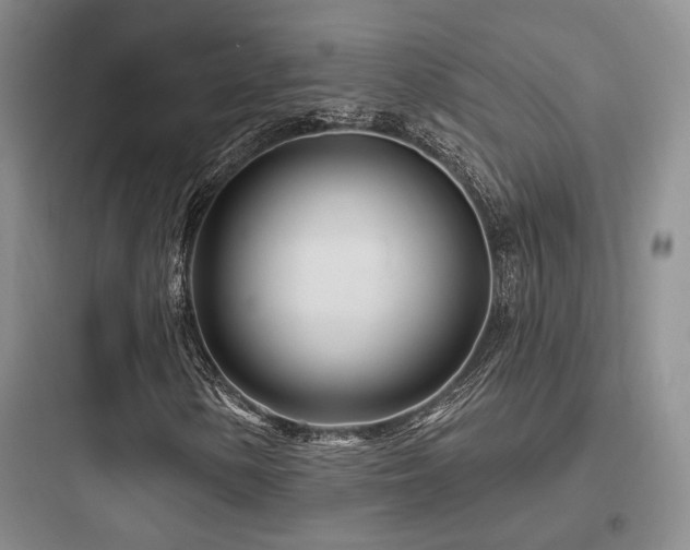 X0000097971154200803241228