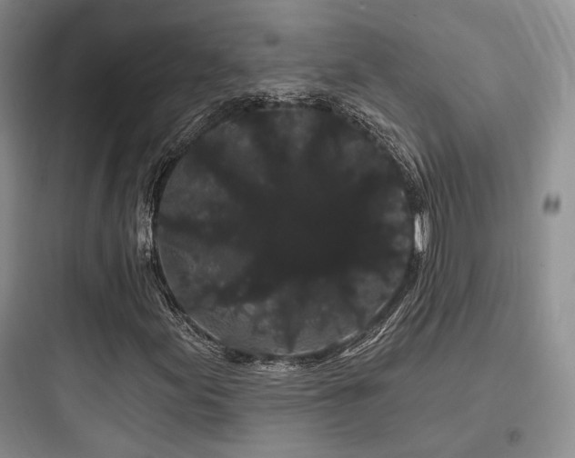 X0000097971155200803241228