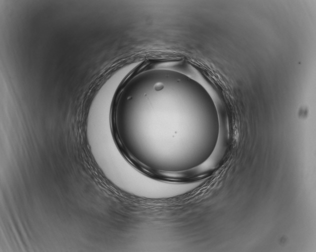 X0000097971157200803241228