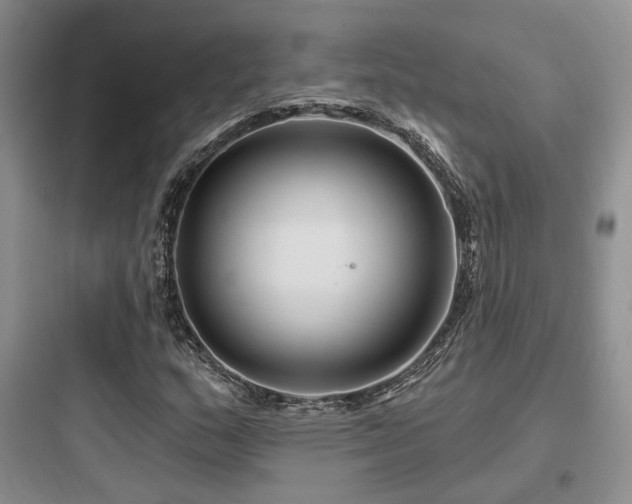 X0000097971159200803241228