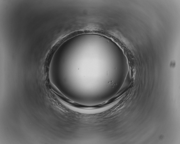 X0000097971160200803241228