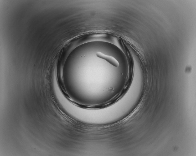 X0000097971161200803241228
