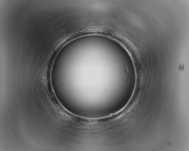 X0000097971162200803241228