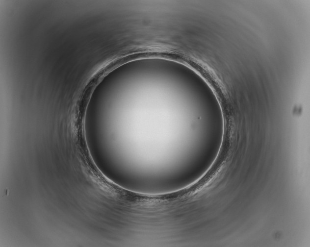 X0000097971163200803241228