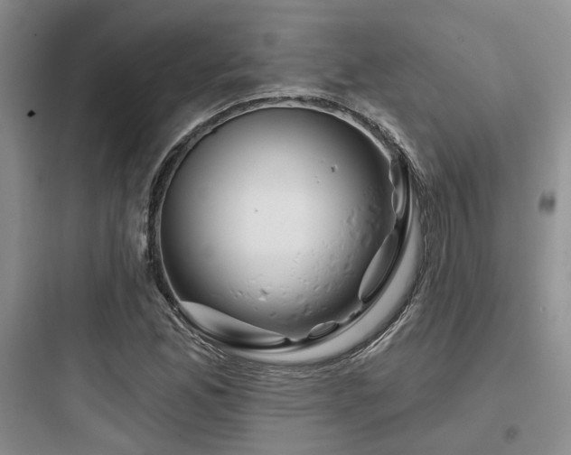 X0000097971165200803241228