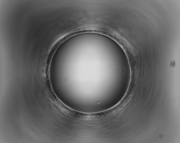 X0000097971166200803241228