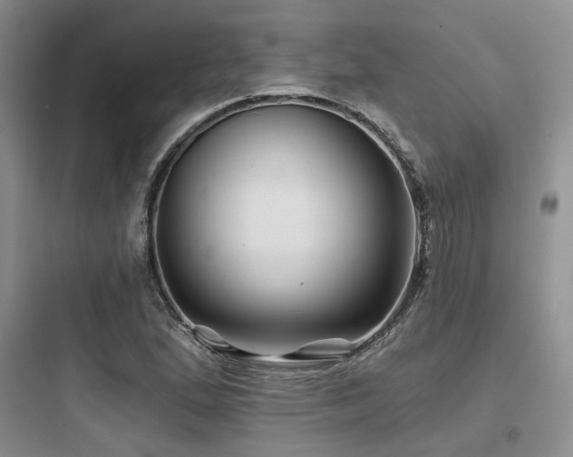 X0000097971167200803241228