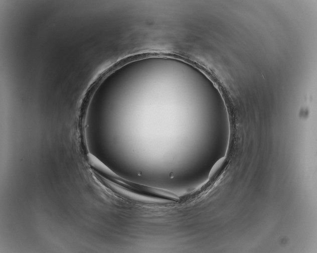 X0000097971168200803241228