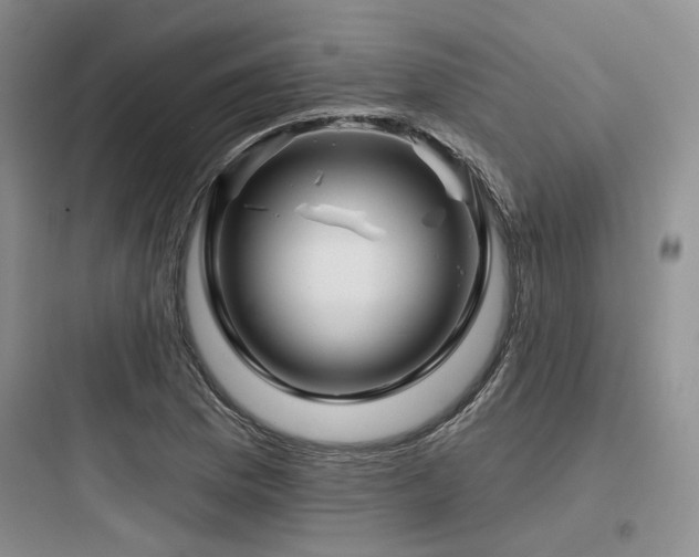 X0000097971169200803241228