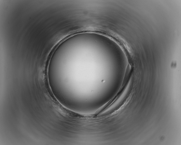 X0000097971170200803241228