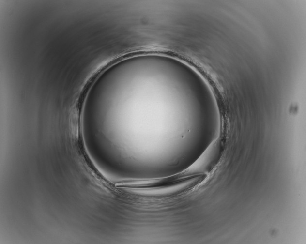 X0000097971171200803241228
