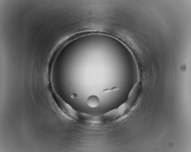 X0000097971172200803241227