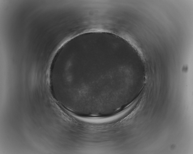 X0000097971173200803241227