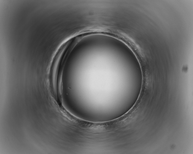 X0000097971174200803241227